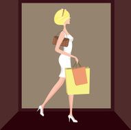 Fashionable woman shopping and carry bags N2