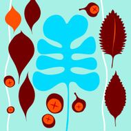 Winter Fruits N2