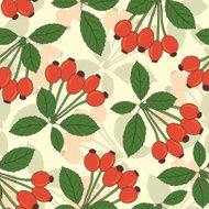 dogrose berry