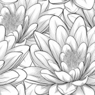 black and white seamless pattern with lotus flowers N2