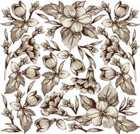 Flowers Vector Beautiful background with a flower ornament Bouquets from flowers N5