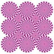 Optical illusion N8
