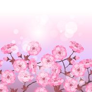 Spring sakura flowers seamless pattern horizontal border