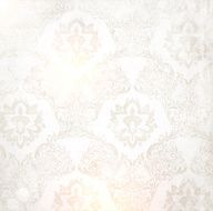 Vintage background N95