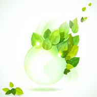 Round frame with sunshiny leaves N2