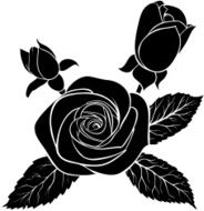black silhouette outline rose isolated on white N2