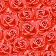 Texture seamless of roses
