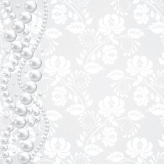 lace fabric background N51