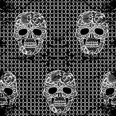 Lacy skull and mesh