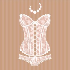 Vintage sexy guipure corset