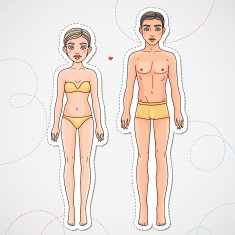 Male and female body European ethnic