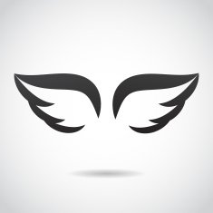 Wing icon isolated on white background