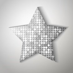 Shiny sequins star Eps 10 vector illustration