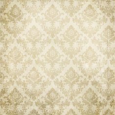 vintage floral pattern background N5