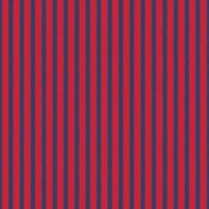 seamless vertical stripes pattern N14