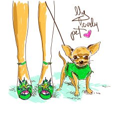 legs of fashion girl and little chihuahua