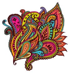 Colorful paisley design N2
