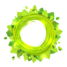 Vector frame with stylish composition of spring leaves N3