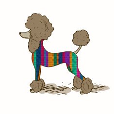 Illustration with Poodle dog N2