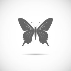 Vector illustration - butterfly on a white background N2