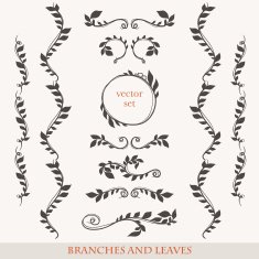 Elegant floral elements with branches and leaves