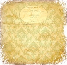 Vector old grunge paper background N6