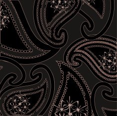 Vector black paisley background