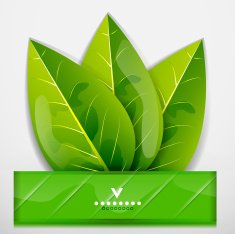 Vector green leaves banner