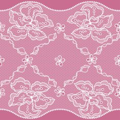 Lace fabric seamless border with abstract flowers N5