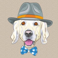 vector funny cartoon hipster dog Golden Retriever