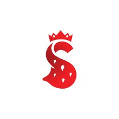 Sign the letter S N3