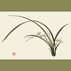 Wild orchid in the Chinese style (vector)