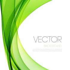 Abstract curved lines background Template brochure design N171