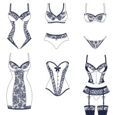 Fashion female lingerie with vintage lace ornament N6