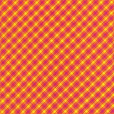 bright plaid fabric