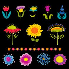 Set of Decorative Floral Elements on Black