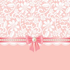 lace fabric background N53