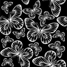 beautiful monochrome black and white seamless background with flying butterflies N3