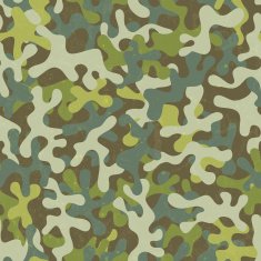 Camouflage seamless pattern N12