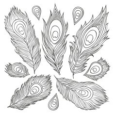 Vintage Feather vector set N3