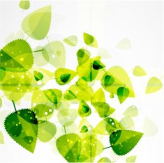 Vector shiny leaves background