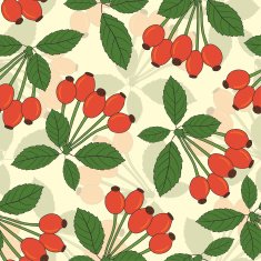 dogrose berry