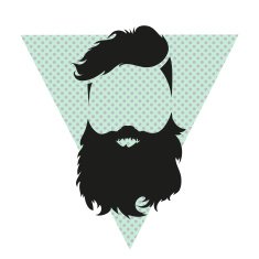 Fashion silhouette hipster style vector illustration N37