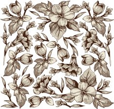 Flowers Vector Beautiful background with a flower ornament Bouquets from flowers N5