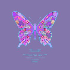 Vector illustration - butterfly N2