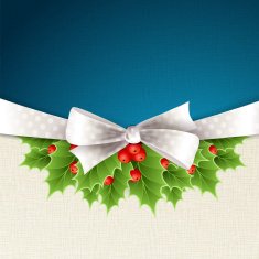 Vector christmas background with ribbon and holly N3