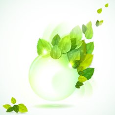 Round frame with sunshiny leaves N2