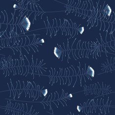 Feathers N14