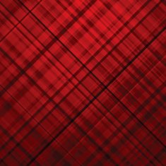 Wallace tartan background EPS 8