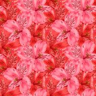 Beautiful seamless background with pink and red alstroemeria flower N2